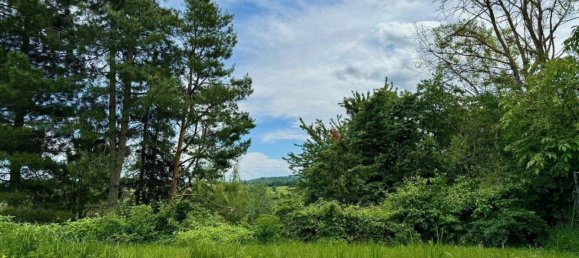  Land in Bergern im Dunkelsteinerwald, Austria No. 48237 4