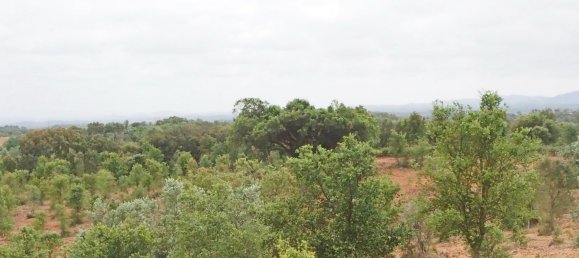  قطعة أرض في Santiago do Cacem, Portugal رقم 189930 25