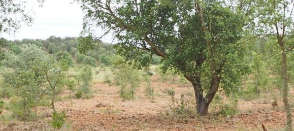  قطعة أرض في Santiago do Cacem, Portugal رقم 189930 4