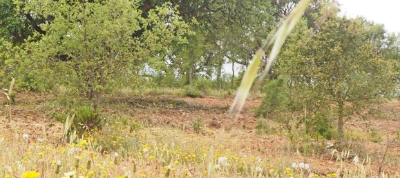  قطعة أرض في Santiago do Cacem, Portugal رقم 189930 20