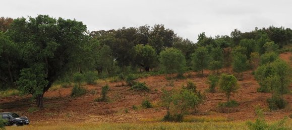  قطعة أرض في Santiago do Cacem, Portugal رقم 189930 8