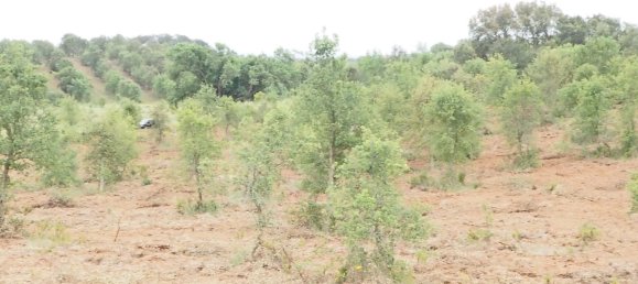  قطعة أرض في Santiago do Cacem, Portugal رقم 189930 2