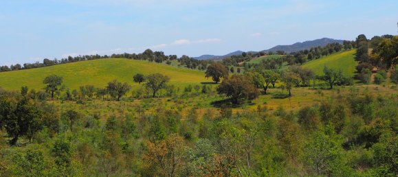  قطعة أرض في Santiago do Cacem, Portugal رقم 189930 16