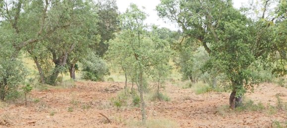  قطعة أرض في Santiago do Cacem, Portugal رقم 189930 22