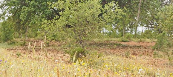  قطعة أرض في Santiago do Cacem, Portugal رقم 189930 15