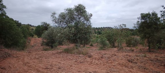  قطعة أرض في Santiago do Cacem, Portugal رقم 189930 11