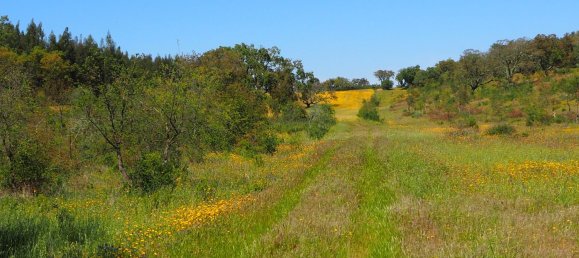  قطعة أرض في Santiago do Cacem, Portugal رقم 189930 24