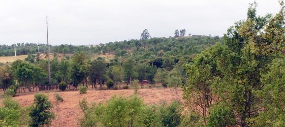  قطعة أرض في Santiago do Cacem, Portugal رقم 189930 12