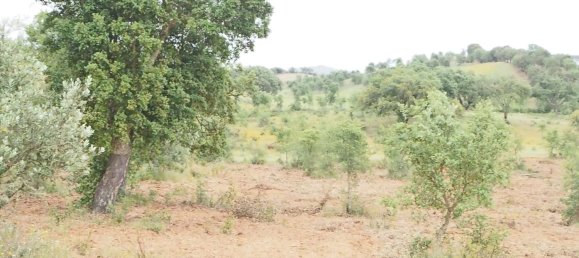  قطعة أرض في Santiago do Cacem, Portugal رقم 189930 3