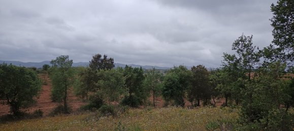  قطعة أرض في Santiago do Cacem, Portugal رقم 189930 9