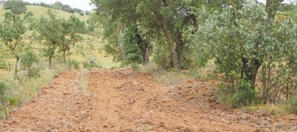  قطعة أرض في Santiago do Cacem, Portugal رقم 189930 26