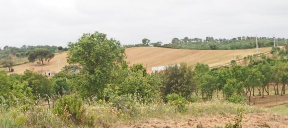  قطعة أرض في Santiago do Cacem, Portugal رقم 189930 10