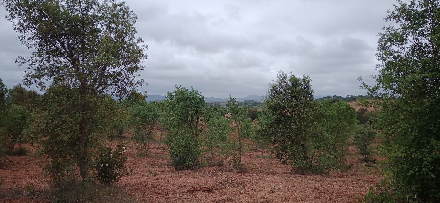  قطعة أرض في Santiago do Cacem, Portugal رقم 189930