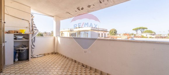 3 rooms Apartment in Nettuno, Italy No. 52568 14