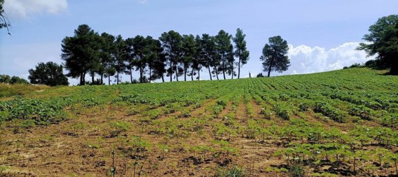 Terrain à Narni, Italy 10000m² No. 317203 13