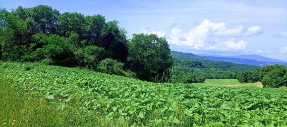 Terrain à Narni, Italy 10000m² No. 317203 3