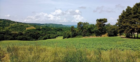 Terrain à Narni, Italy 10000m² No. 317203 9