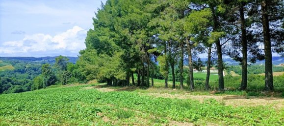 Terrain à Narni, Italy 10000m² No. 317203 12