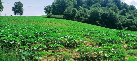 Terrain à Narni, Italy 10000m² No. 317203 8