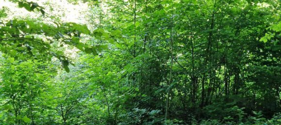 1 Schlafzimmer Grundstück in Penzing, Austria, Nr. 216373 3