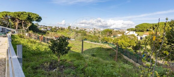 Дом с 3 спальнями в Сезимбра, Португалия № 185469 3