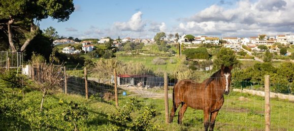 Дом с 3 спальнями в Сезимбра, Португалия № 185469 4