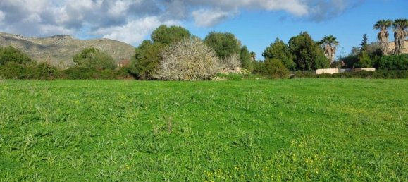 25057m² Land in Capdepera, Spain No. 191165 2