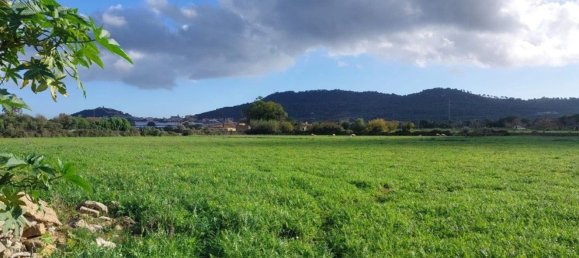 25057m² Land in Capdepera, Spain No. 191165 4