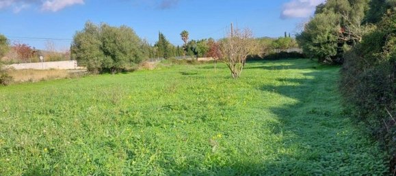 25057m² Land in Capdepera, Spain No. 191165 5