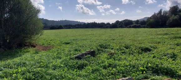 25057m² Land in Capdepera, Spain No. 191165 3