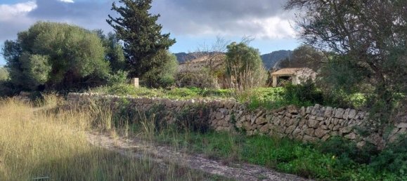 25057m² Land in Capdepera, Spain No. 191165 10