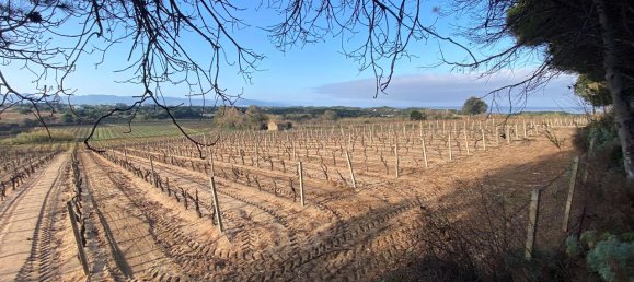 3غرفة شقة في Badesi, Italy رقم 64075 22