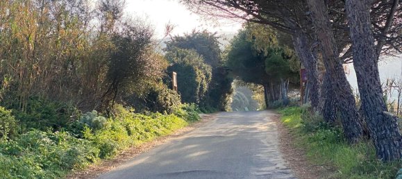 3غرفة شقة في Badesi, Italy رقم 64075 20