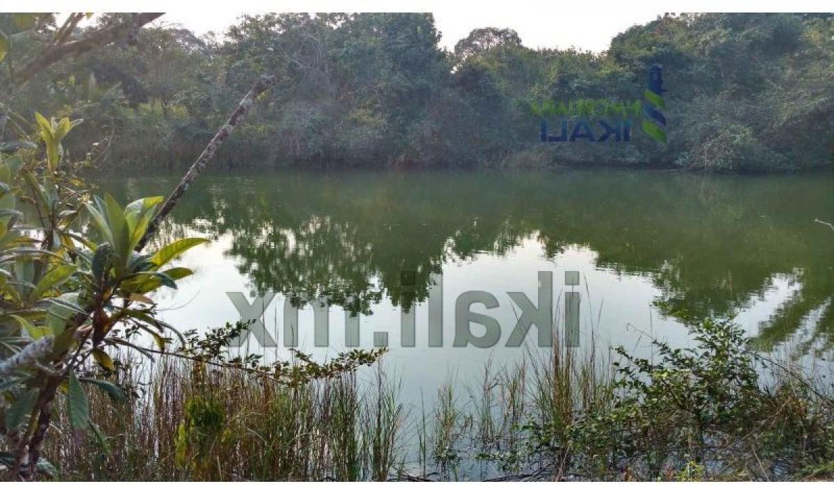  Land in Veracruz, Mexico No. 205092