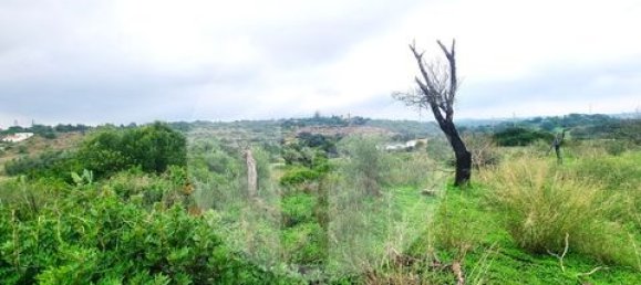 Grundstück in Quelfes, Portugal 133m², Nr. 151595 10