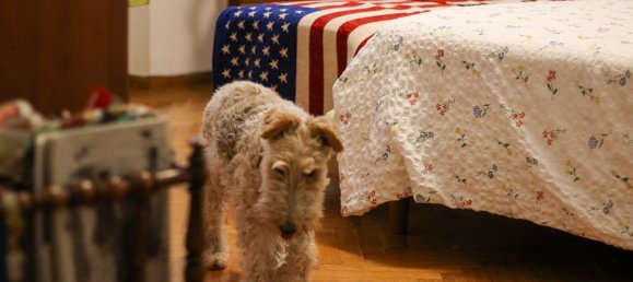 8 chambres Villa à Parma, Italy No. 345996 21