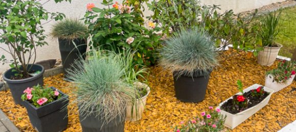 4 bedrooms House in Rudow, Germany No. 57685 7