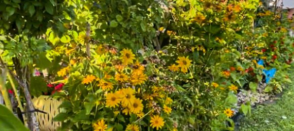 4 bedrooms House in Rudow, Germany No. 57685 8