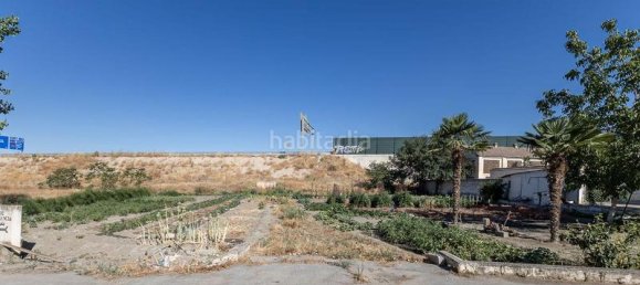  قطعة أرض في Granada, Spain 900متر مربع رقم 159326 4