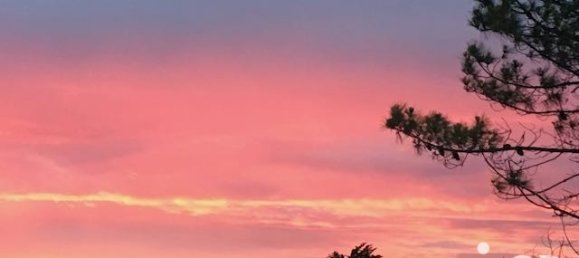 Terreno em La Tranche-sur-Mer, France 451 m² N.º 58838 6