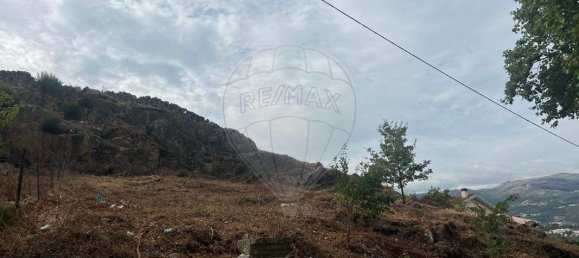 1 Schlafzimmer Haus in Vila Real, Portugal, Nr. 23012 2