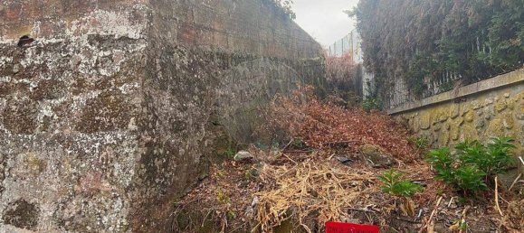 1 Schlafzimmer Haus in Vila Real, Portugal, Nr. 23012 11