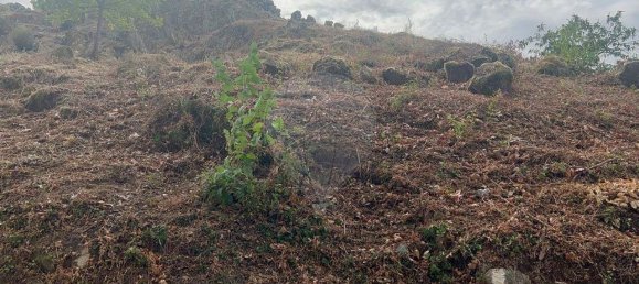 1 Schlafzimmer Haus in Vila Real, Portugal, Nr. 23012 6