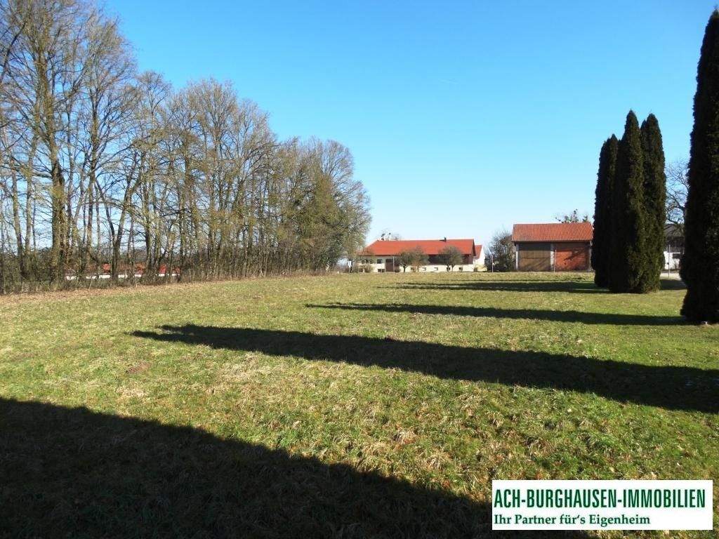 Grundstück in Überackern, Austria, Nr. 166867