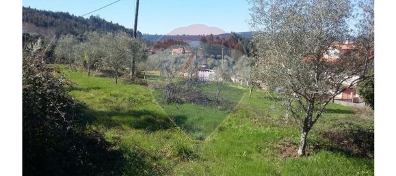 Grundstück in Pombeiro da Beira, Portugal 1290m², Nr. 76321 10