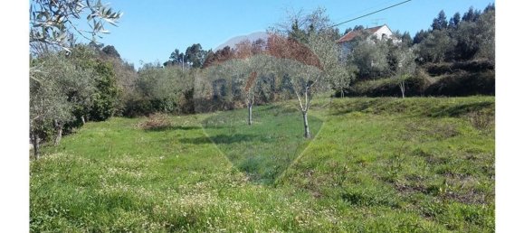 Grundstück in Pombeiro da Beira, Portugal 1290m², Nr. 76321 3