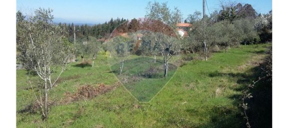 Grundstück in Pombeiro da Beira, Portugal 1290m², Nr. 76321 5