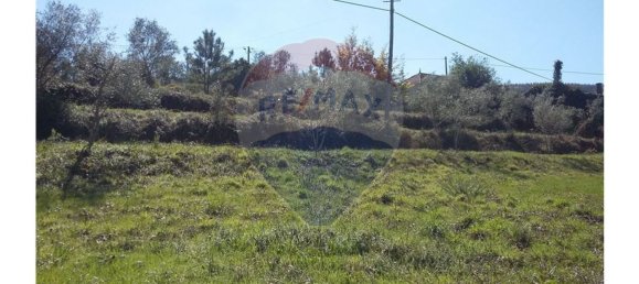 Grundstück in Pombeiro da Beira, Portugal 1290m², Nr. 76321 12