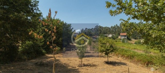 Grundstück in Penafiel, Portugal 2900m², Nr. 246335 5