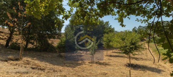 Grundstück in Penafiel, Portugal 2900m², Nr. 246335 6